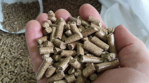 A view inside a firebox with burning pellets